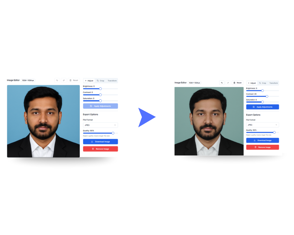Basic Image Editor for Government Applications